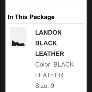 Steve Madden Landon Shoes